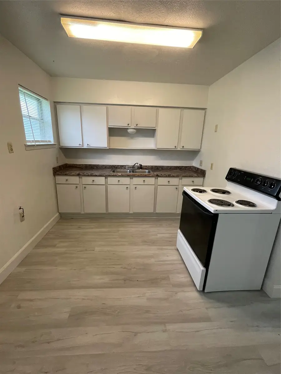1208 Winkler Street, Ennis, TX 75119 - #3