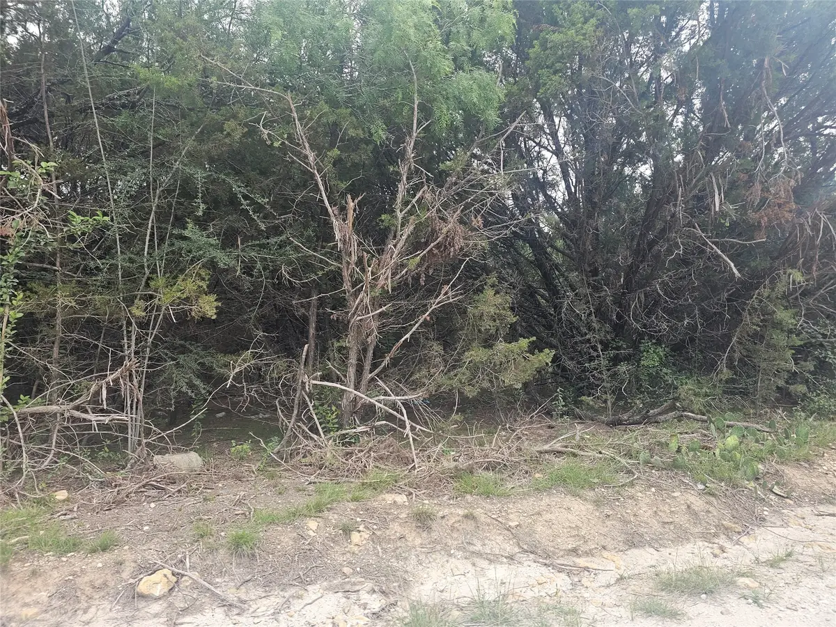 TBT Elm Branch, Whitney, TX 76692 - #1