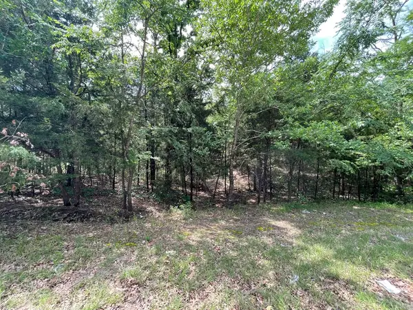lor # 298 Yuma Drive, Mabank, TX 75156