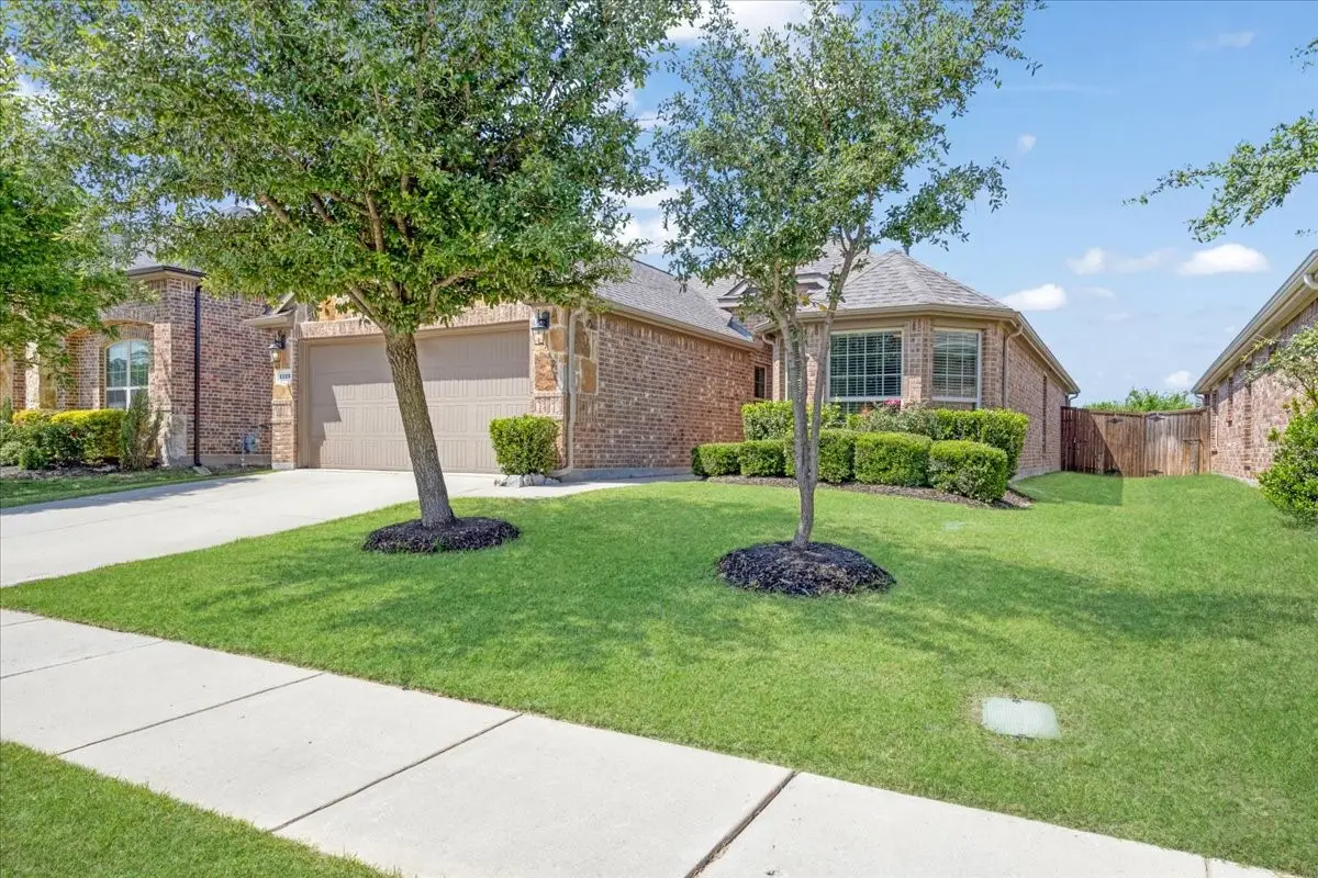 1125 Elizabeth Street, Anna, TX 75409 - #1