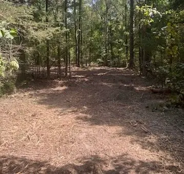 10 Acres Fm 852, Gilmer, TX 75644 - #2