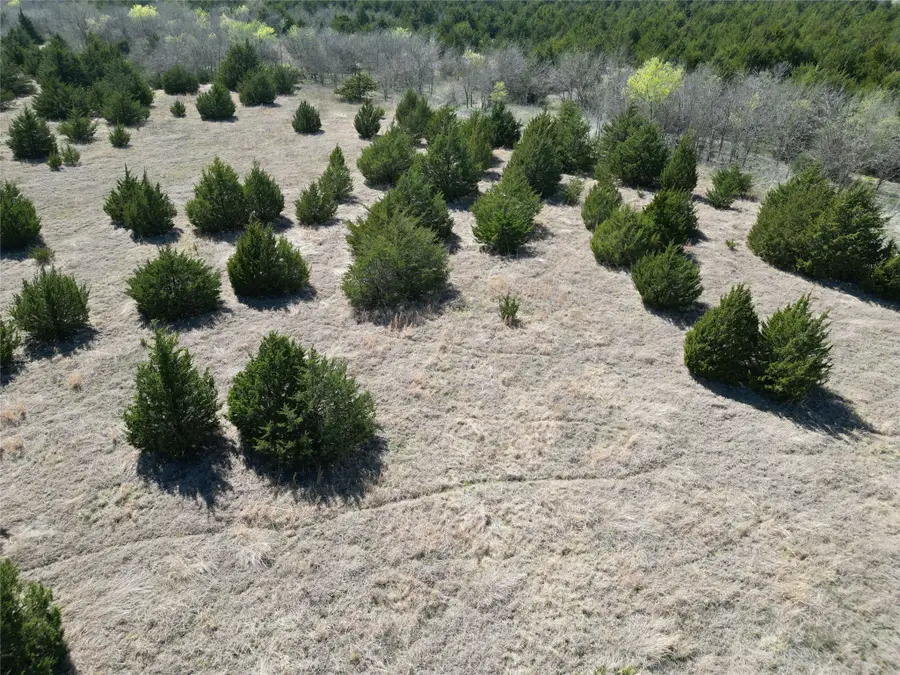 999-1 Cr3805, Bailey, TX 75413 - #2