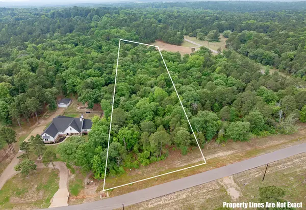 3121 Shadow Pines, Larue, TX 75770