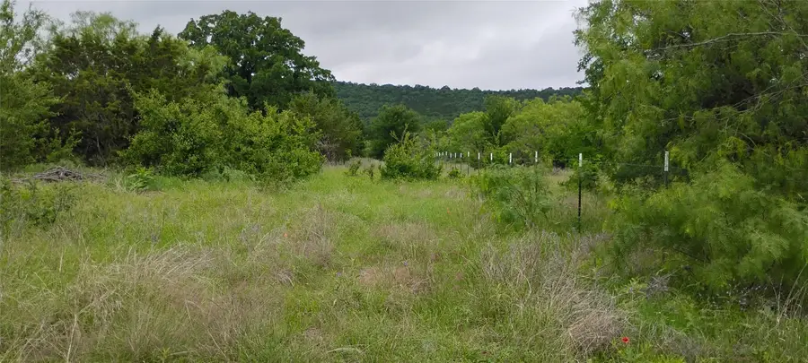 Lots 3 & 4 Dunn Drive, Palo Pinto, TX 76484 - #3