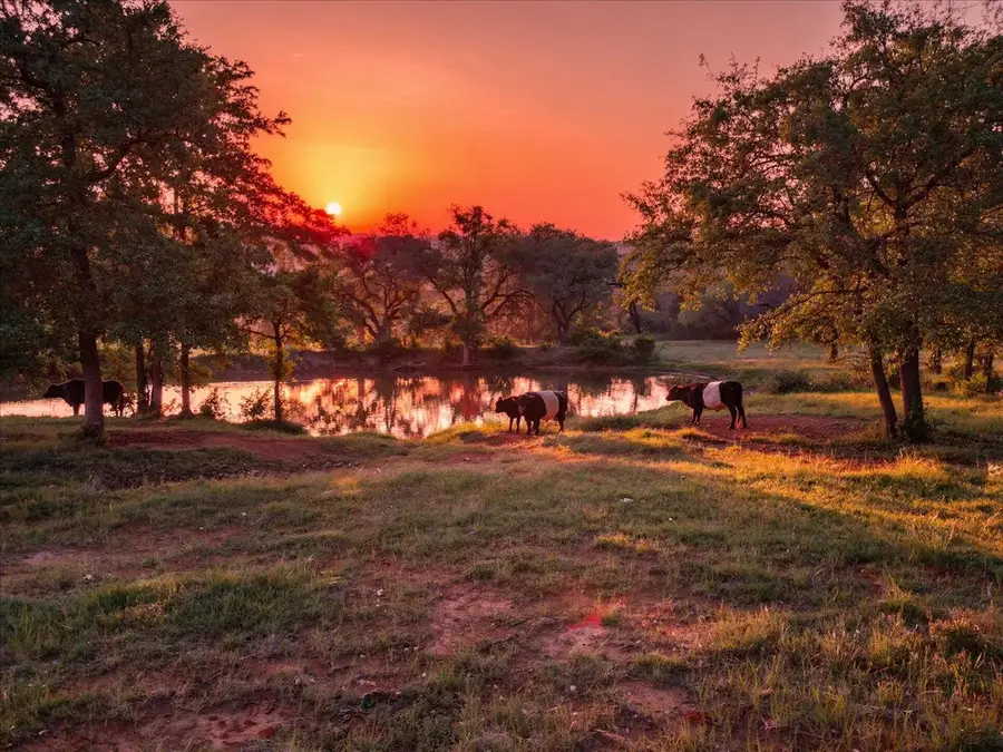 3909 Paluxy Highway, Granbury, TX 76048 - #3