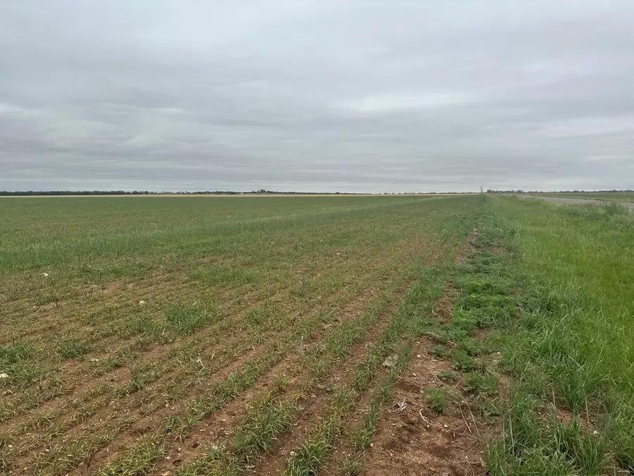TBD Fm126( Tract 2 ) Merkel, Tx 79536, Merkel, TX 79536 - #2