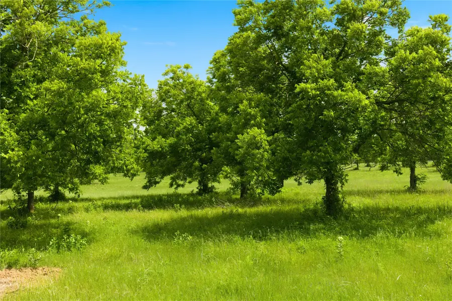 Lot 3 County Road 3430, Lone Oak, TX 75453 - #2