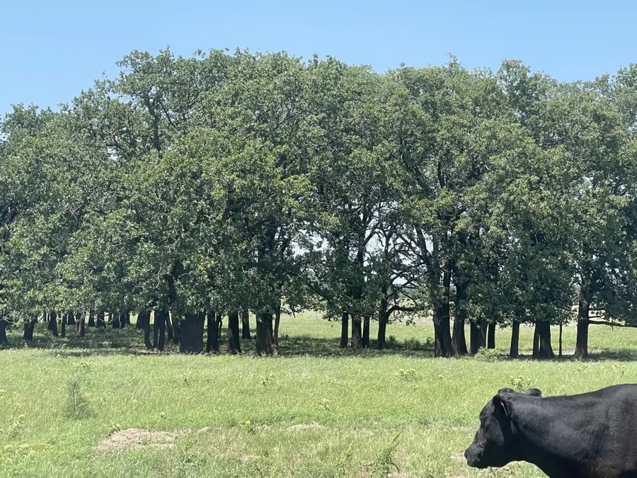 4730 Bugscuffle Road, Bowie, TX 76240 - #2