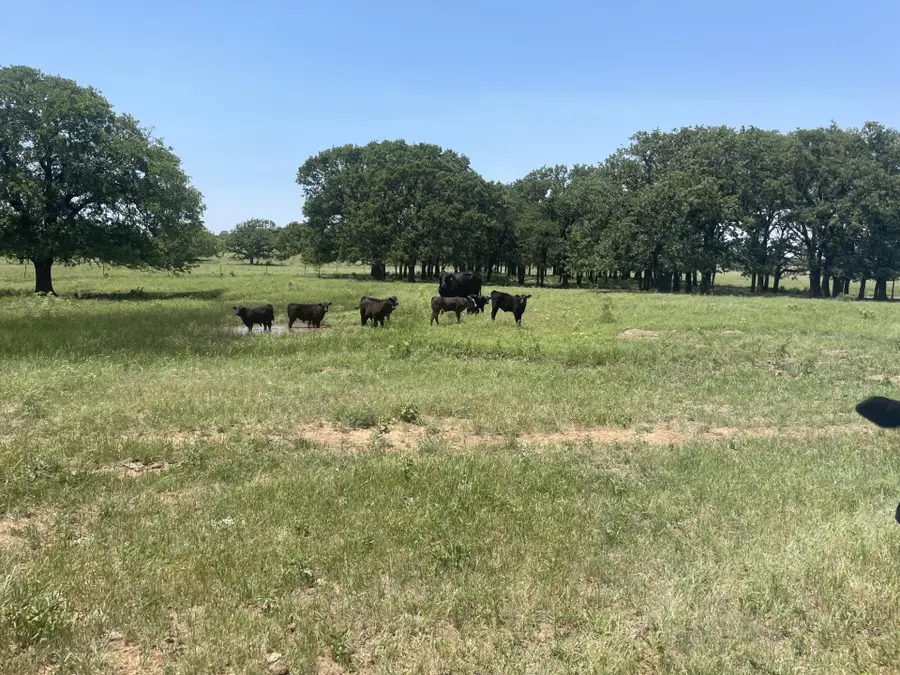 4730 Bugscuffle Road, Bowie, TX 76240 - #3