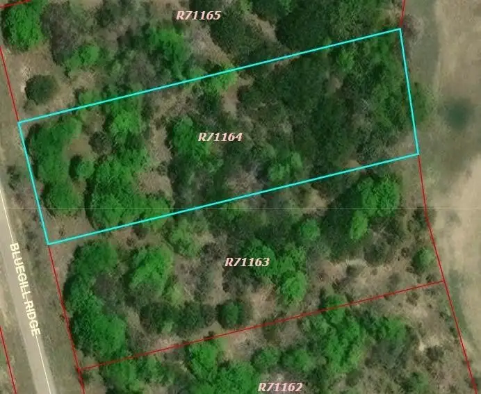1015 Bluegill Ridge, Bluff Dale, TX 76433 - #2