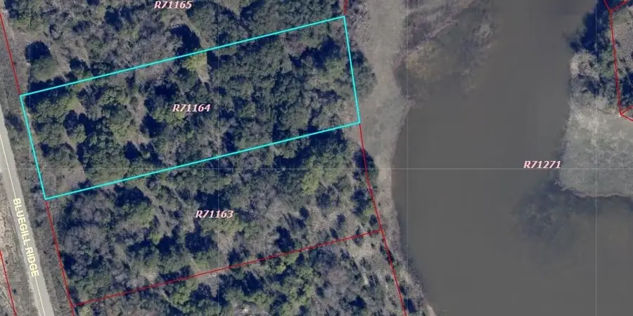 1015 Bluegill Ridge, Bluff Dale, TX 76433 - #3