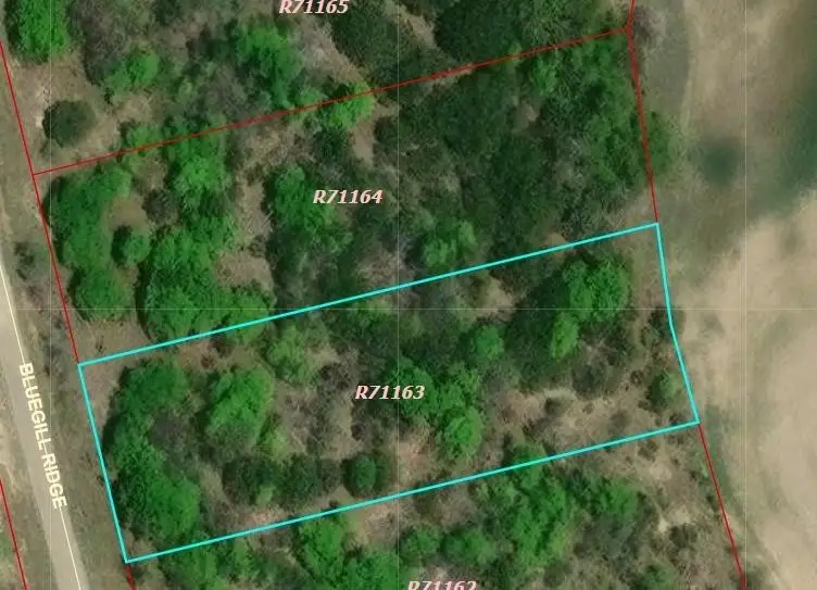 1065 Bluegill Ridge, Bluff Dale, TX 76433 - #2