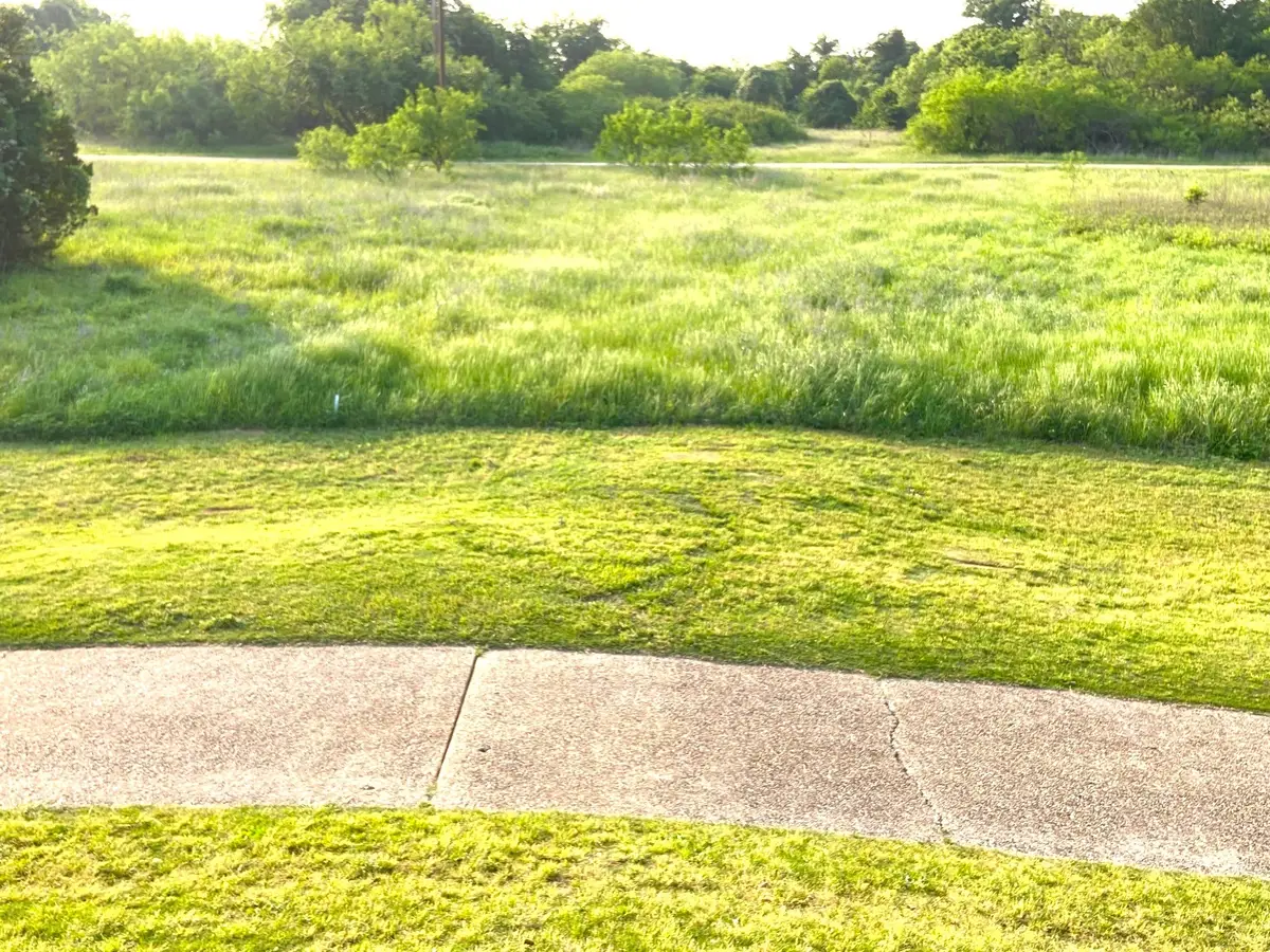 23134 Greenbriar Drive, Whitney, TX 76692 - #1