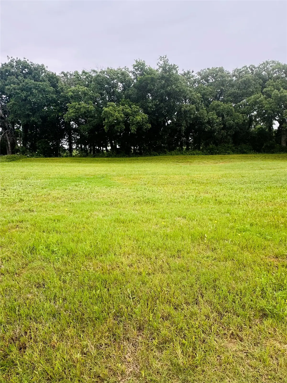 109 Kylie Street, Cleburne, TX 76031 - #1