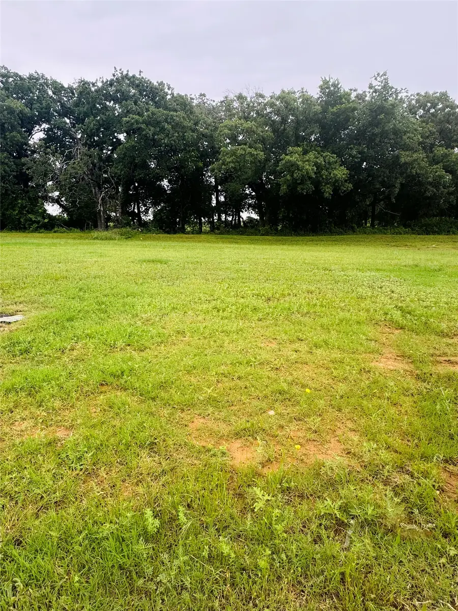 113 Kylie Street, Cleburne, TX 76031 - #2