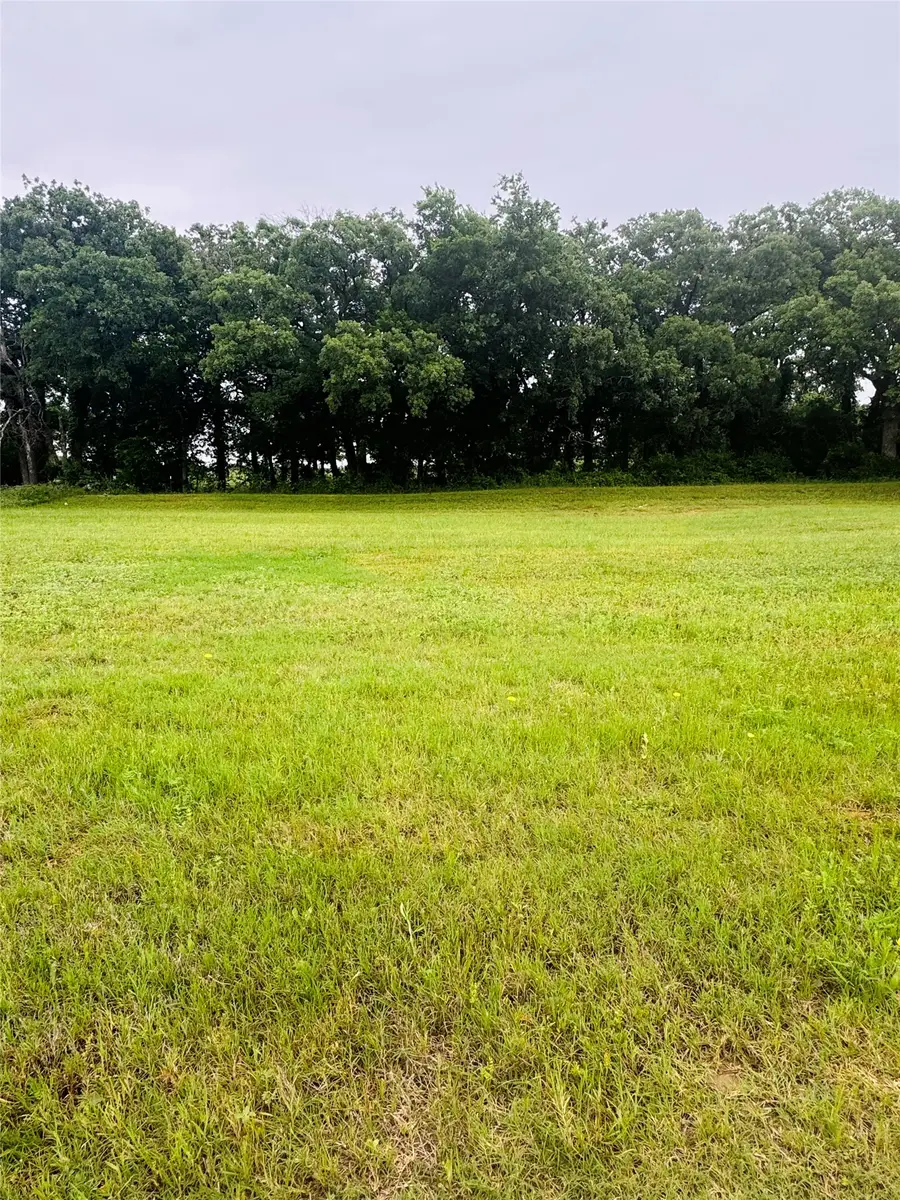 113 Kylie Street, Cleburne, TX 76031 - #3