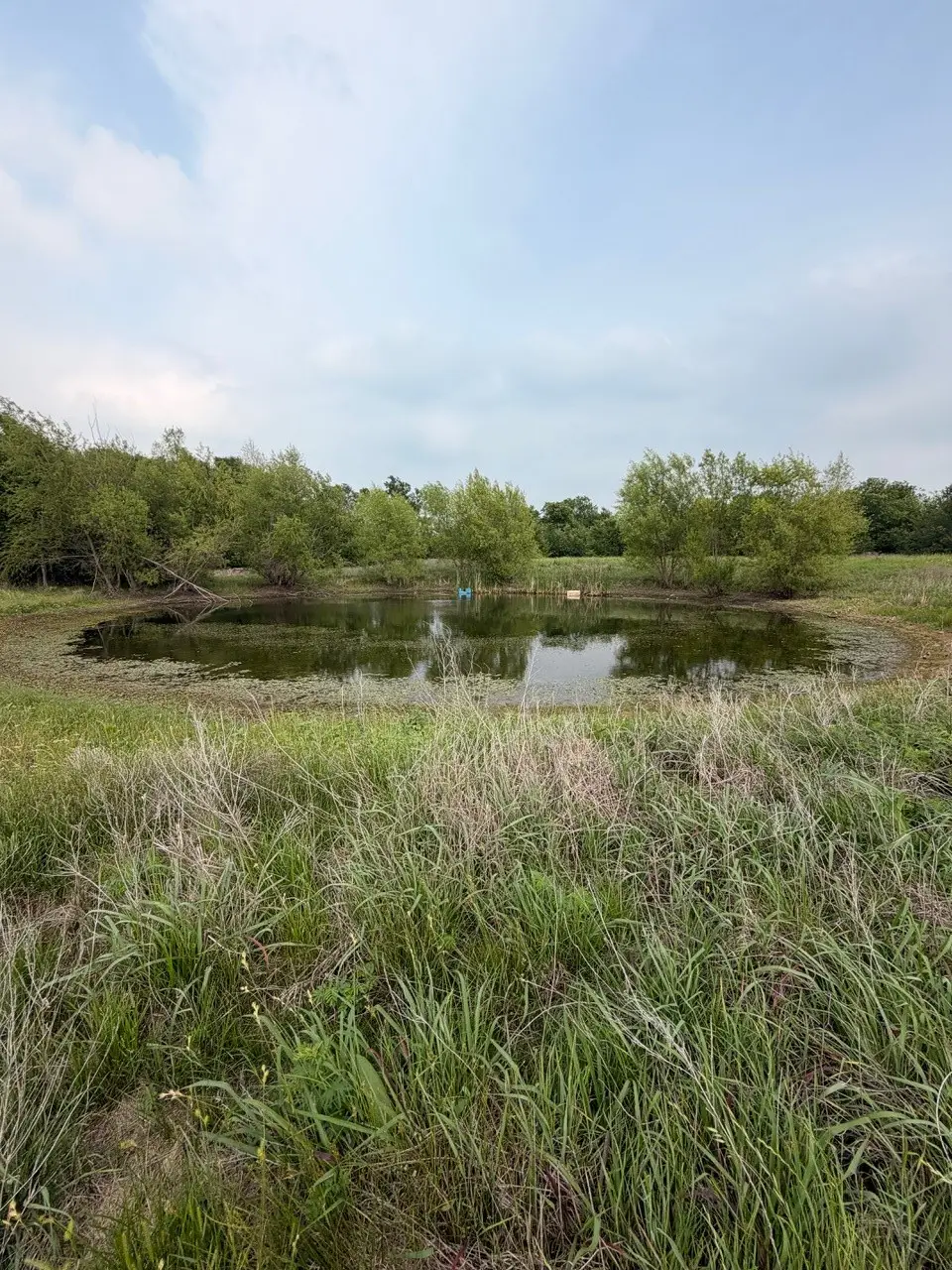 345 Cr 3346, Hubbard, TX 76648 - #1
