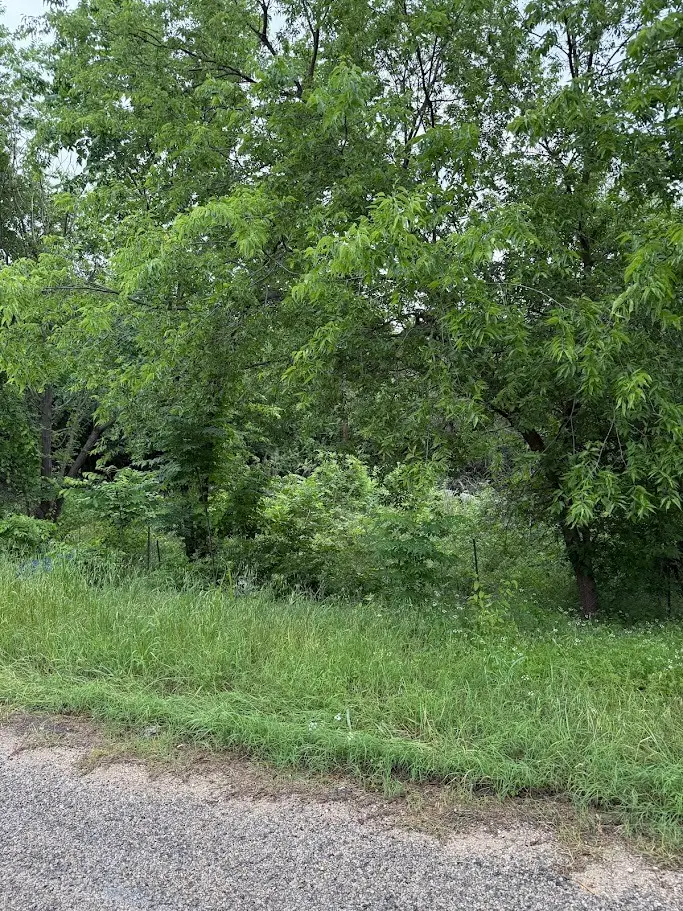 7419 Cottonwood Creek Road, Fort Worth, TX 76135 - #1