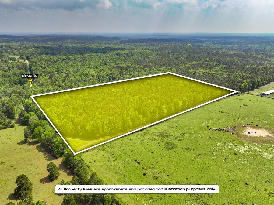TBD Kings Rd, Hemphill, TX 75972 - #2