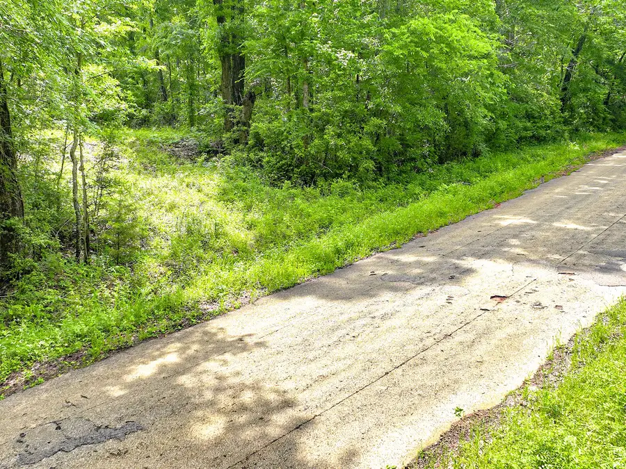 TBD Kings Rd, Hemphill, TX 75972 - #3