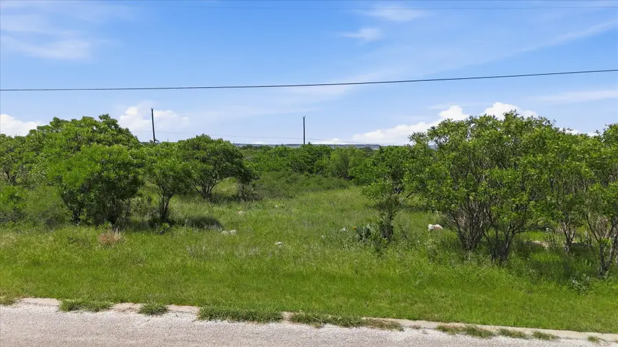235 Neeleys Slough Drive, Graford, TX 76449 - #2