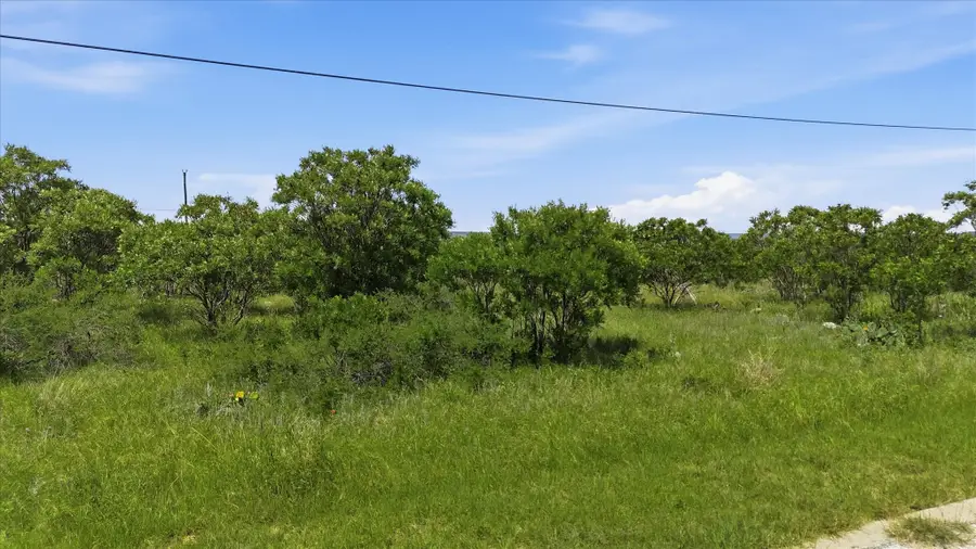 235 Neeleys Slough Drive, Graford, TX 76449 - #3