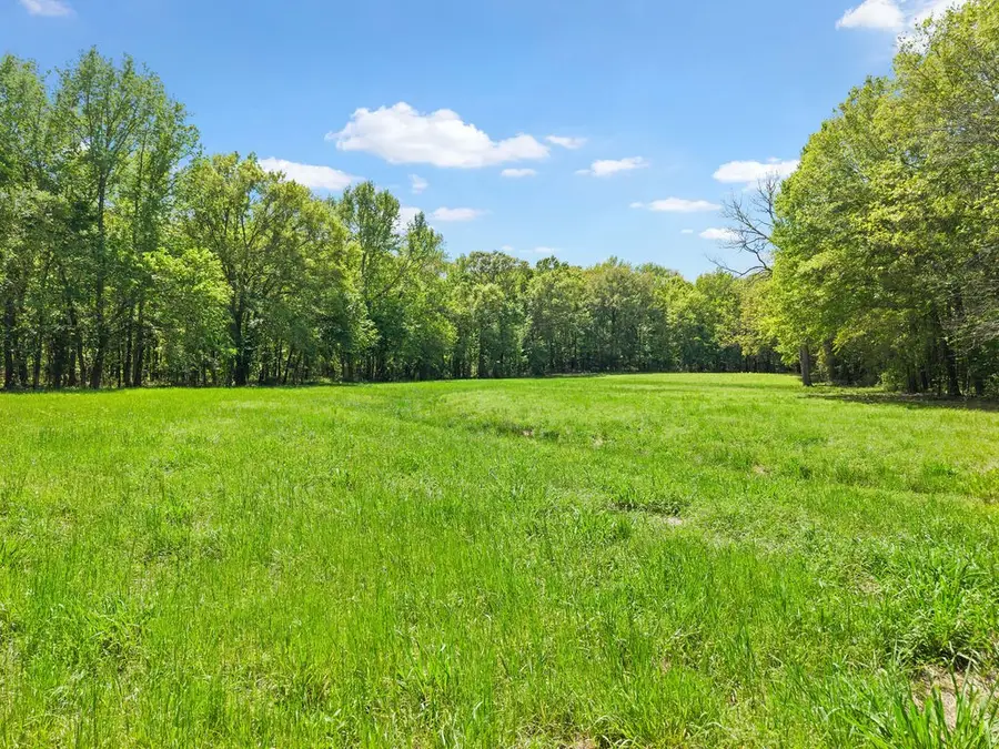 TBD Vz County Road 4505, Ben Wheeler, TX 75754 - #3