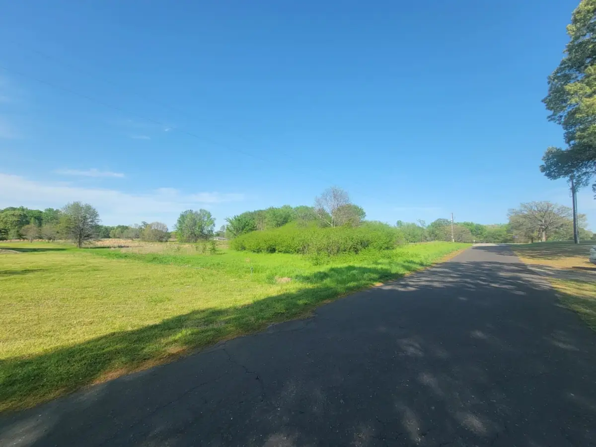 1821 County Road 1570, Alba, TX 75410 - #1