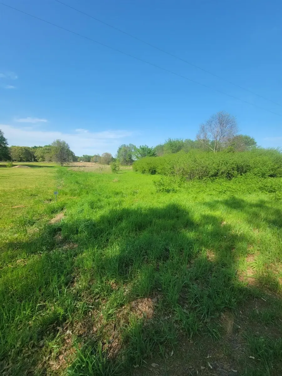 1821 County Road 1570, Alba, TX 75410 - #2