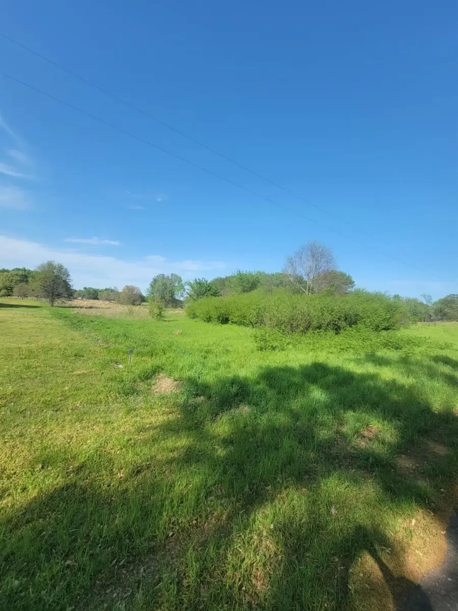 1821 County Road 1570, Alba, TX 75410 - #3