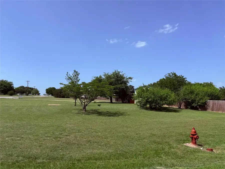 4113 Goliad Drive, Granbury, TX 76048 - #2