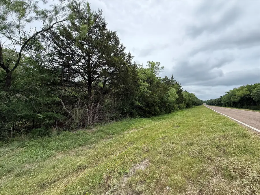 TBD 27 Acres Fm 642, Purdon, TX 76679 - #2