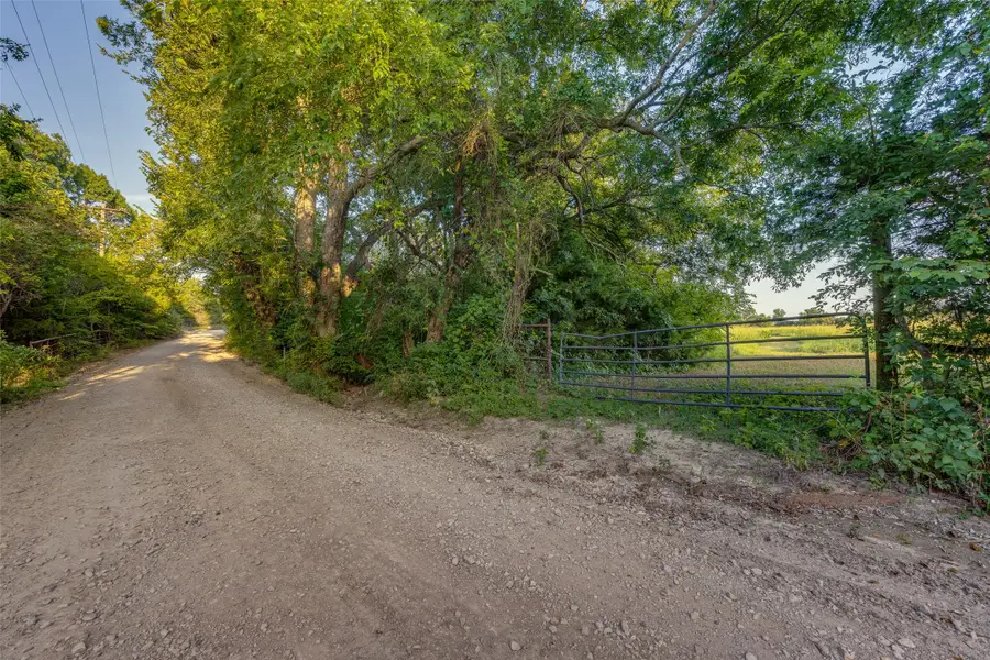TBD Lot 3 County Road 4725, Leonard, TX 75452 - #3