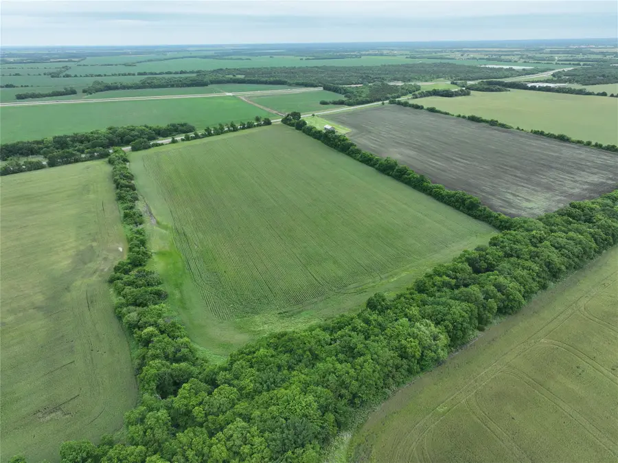 TBD Hwy 56 Highway, Honey Grove, TX 75446 - #3