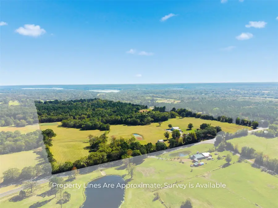 10495 Fm 115, Scroggins, TX 75480 - #3