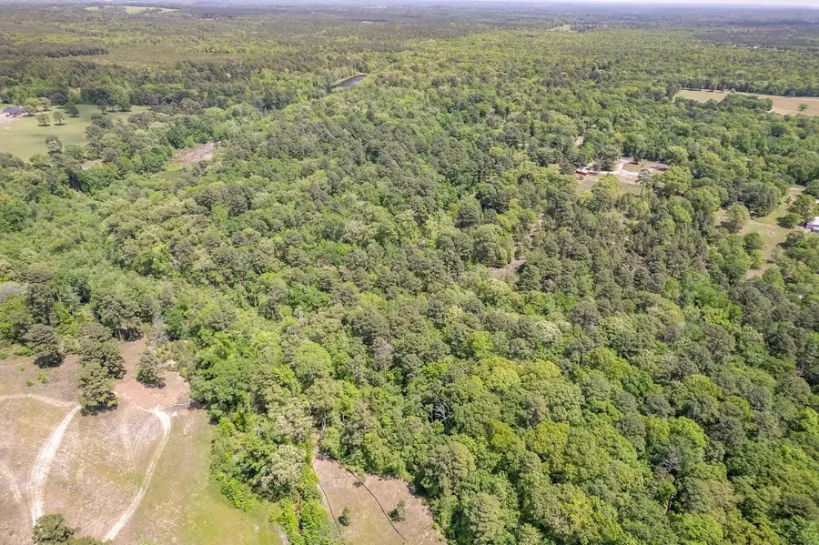 0 County Road 3588, Winnsboro, TX 75494 - #3