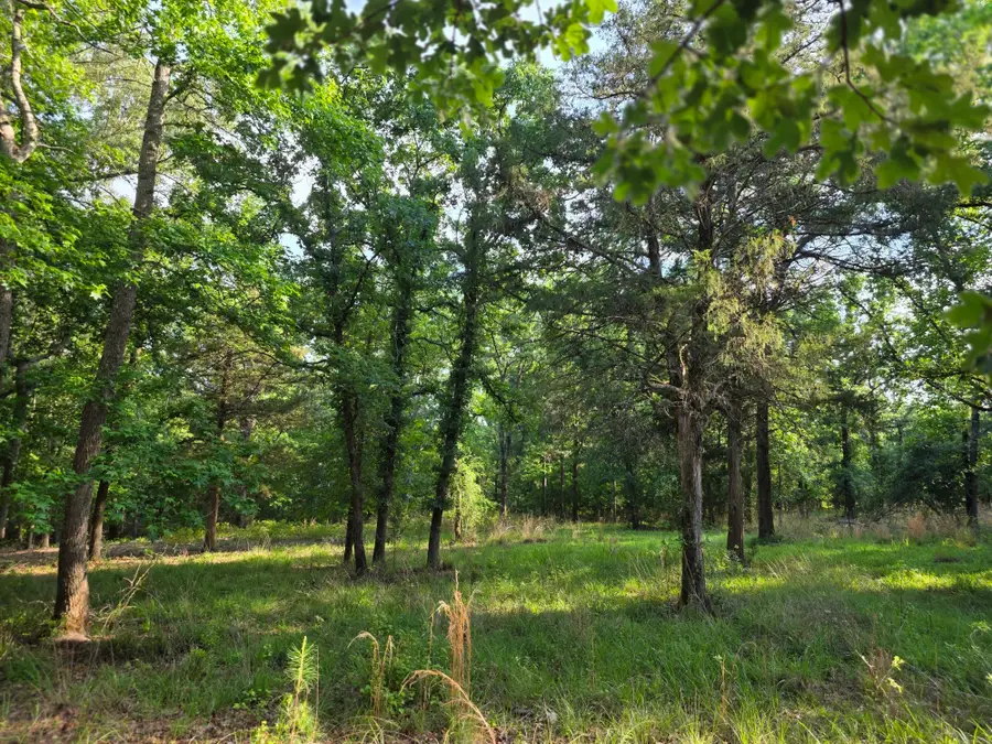Lot 377 Timber Ridge, Larue, TX 75770 - #2
