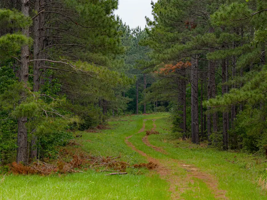 0 Cr 152, Carthage, TX 75633 - #3