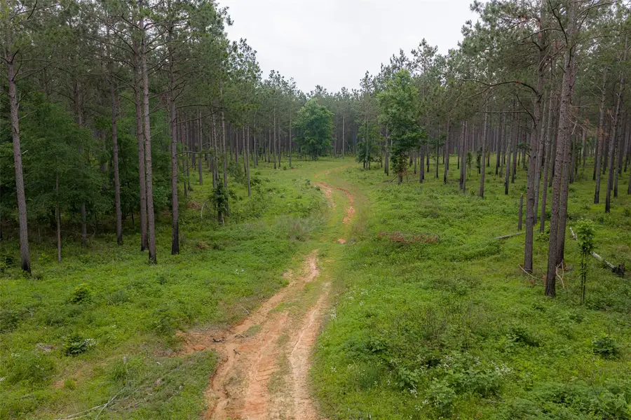 0 Cr 155, Long Branch, TX 75669 - #3