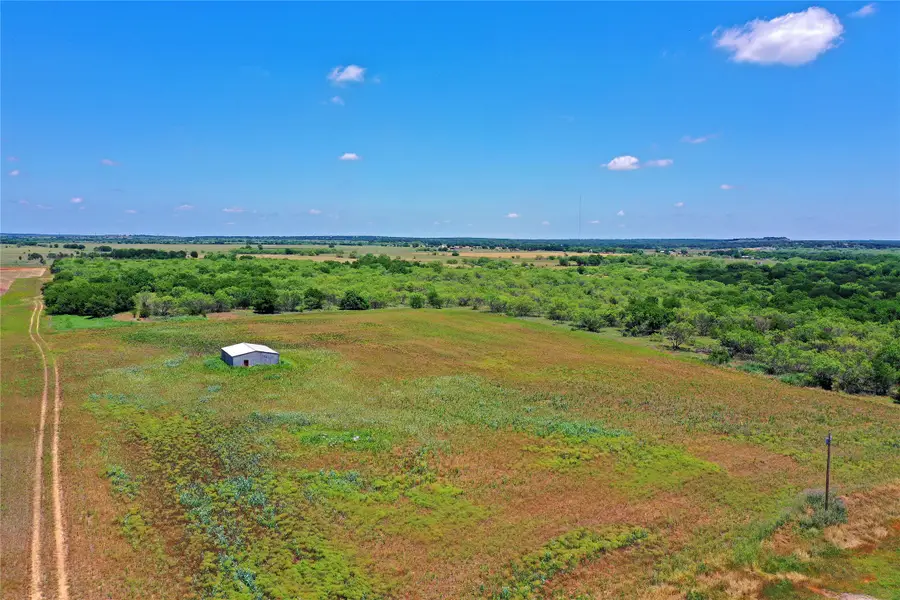 36 Acres Fm 2210, Perrin, TX 76486 - #2