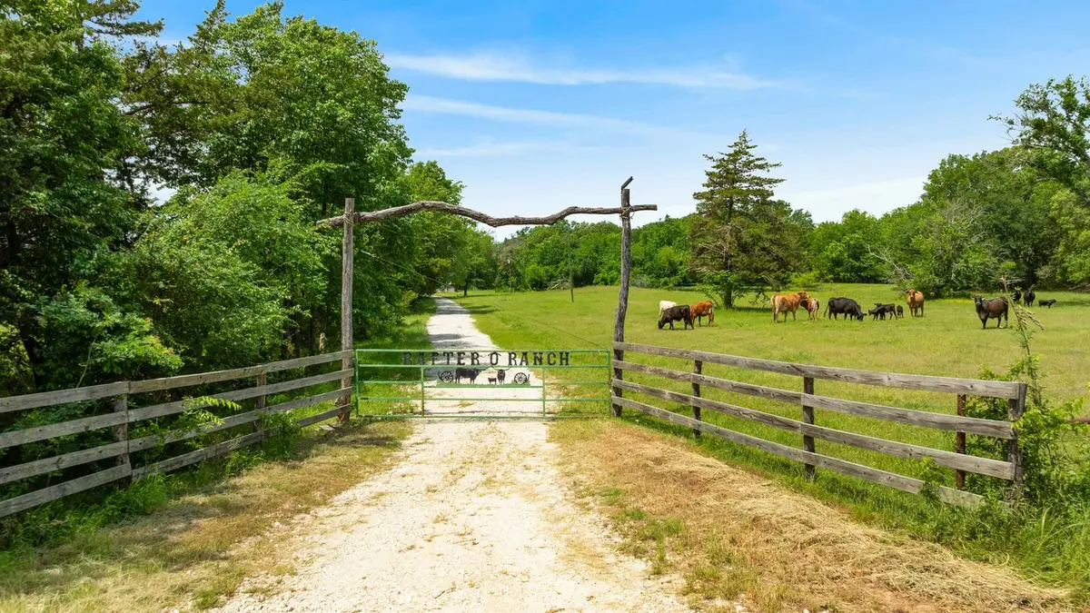 690 County Road 15560, Paris, TX 75462 - #1