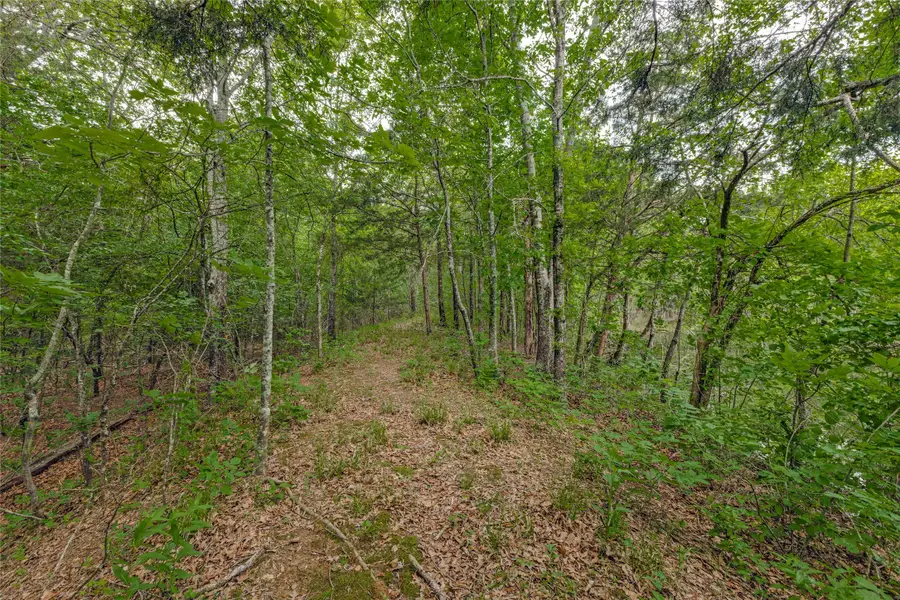 494 County Road 4589, Sulphur Springs, TX 75482 - #3