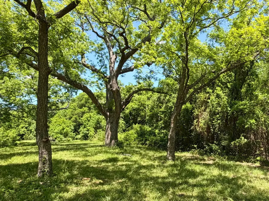 10180 County Road 437, Princeton, TX 75407 - #2