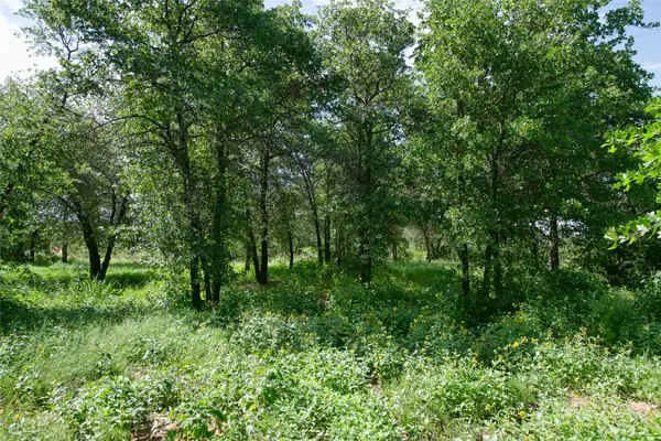 10818 County Road 335, Hawley, TX 79525