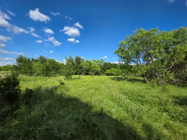 3201 County Road 612, Bangs, TX 76823
