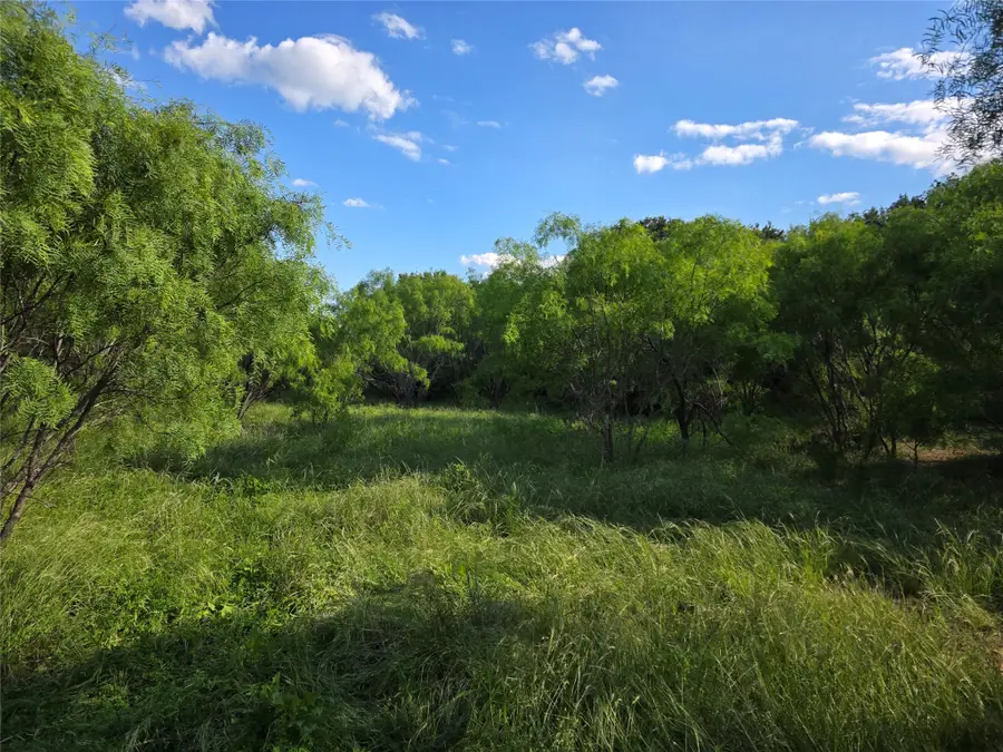 3201 County Road 612, Bangs, TX 76823 - #3