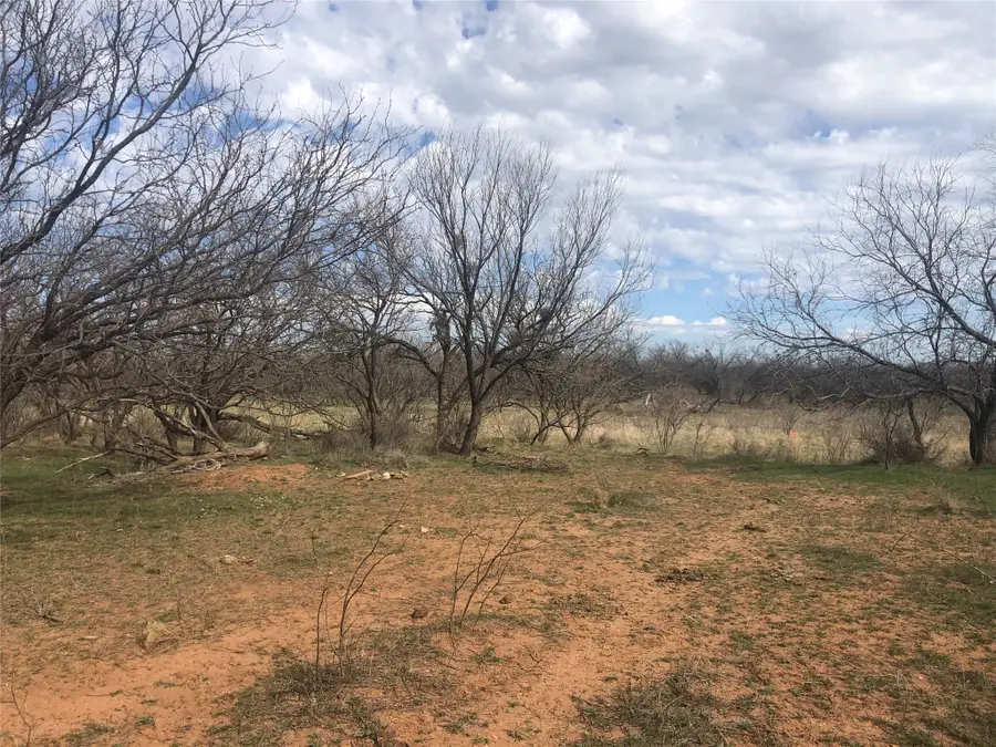 90 Acres TBD Bacacita Farms Road, Abilene, TX 79602 - #3