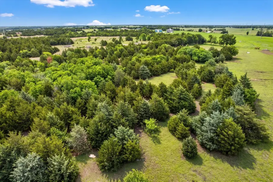 14991 Cr 1100, Blue Ridge, TX 75424 - #2