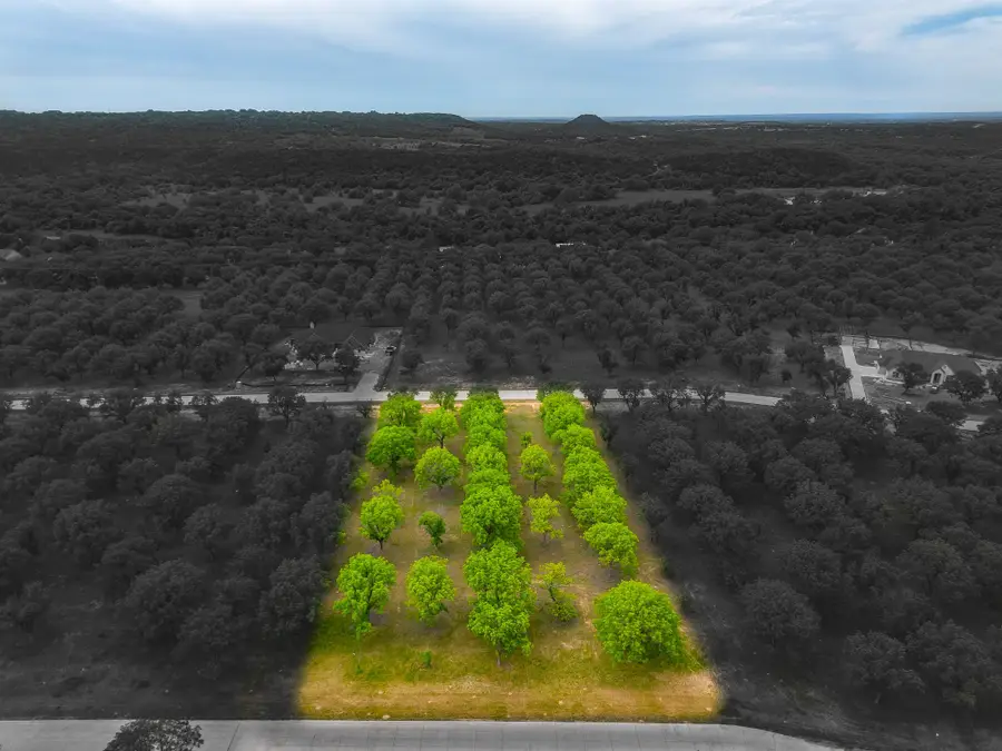 2354 E Landings S, Granbury, TX 76049 - #2