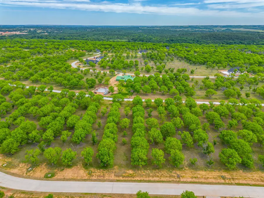2354 E Landings S, Granbury, TX 76049 - #3
